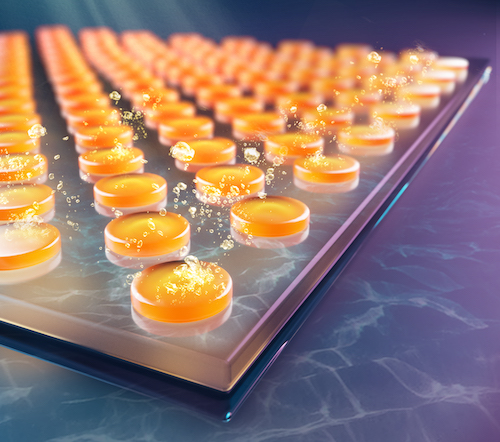 Ludwig Hüttenhofer ‘GaP disks on a photoelectrode for enhanced water splitting