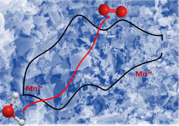 veronica celorrio project highlights diagram