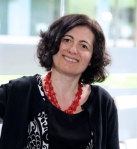 photo of adisa azapagic
