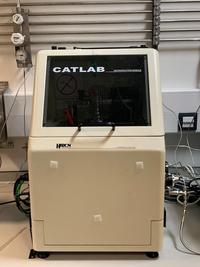 Catlab photo of cat lab