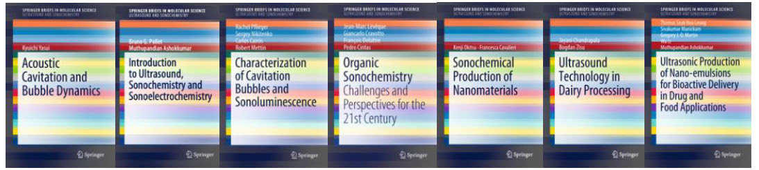 Ultrasound and Sonochemistry SpringerBrief Series image