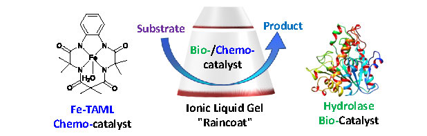 Molecular raincoats abstract figure 1