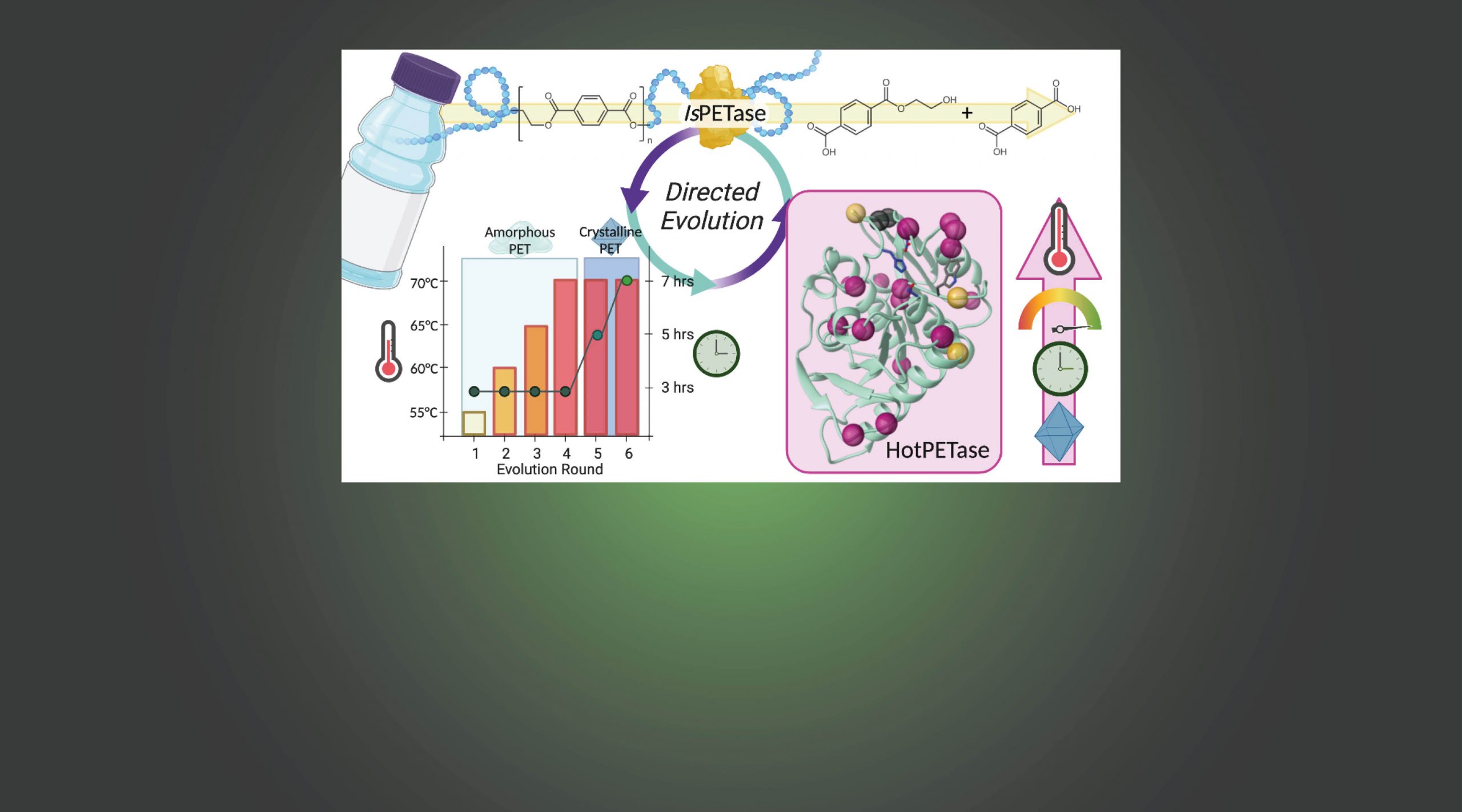 Directed evolution of an efficient and thermostable PET depolymerase