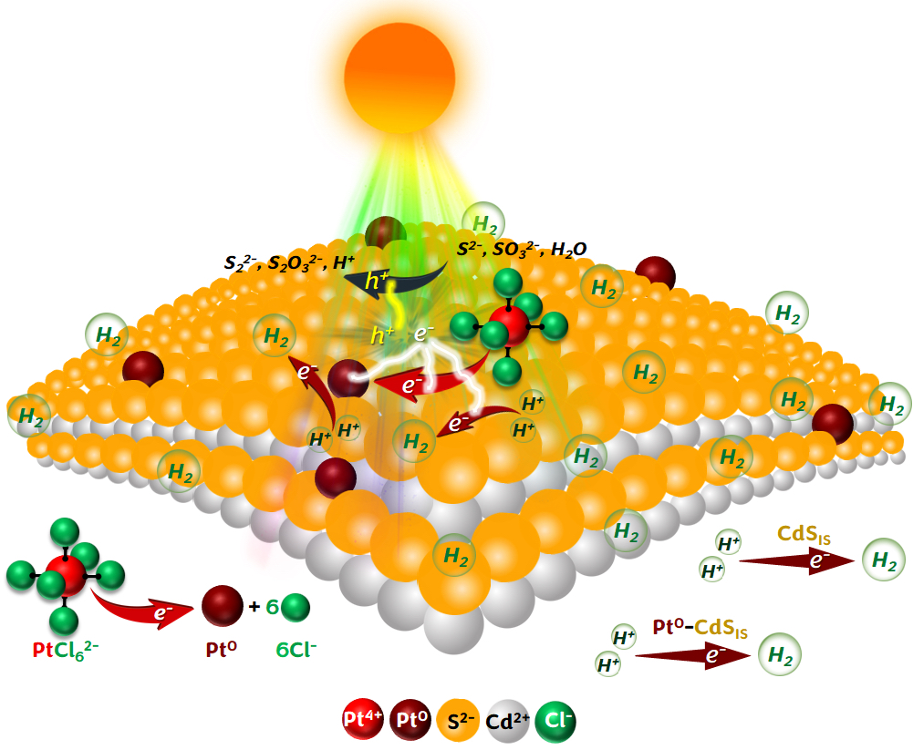 Cd/Pt Precursor Solution for Solar H2 Production and in situ Photochemical Synthesis of Pt Single-atom Decorated CdS Nanoparticles