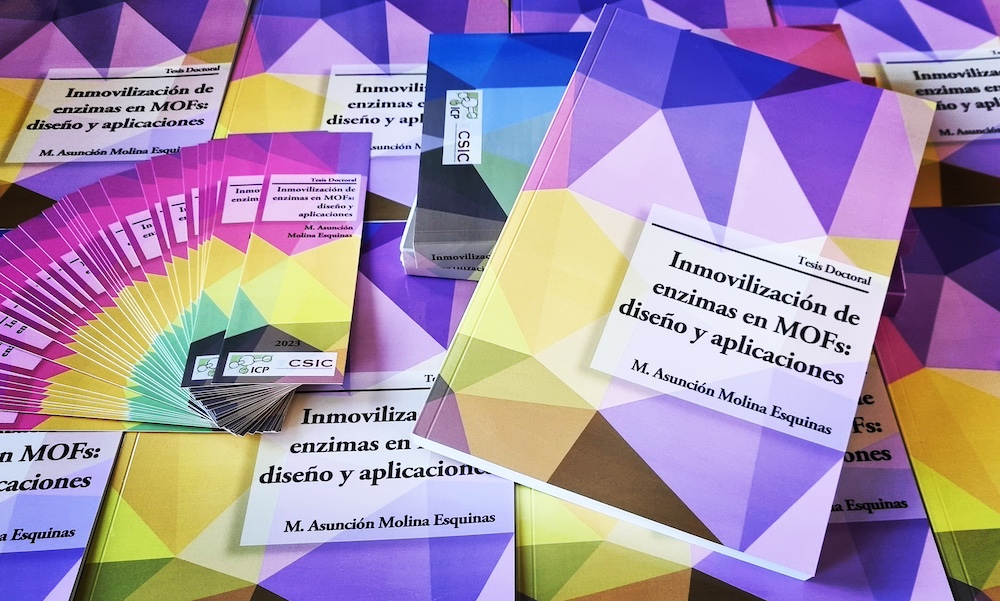 Photo of María Asunción Molina Esquinas thesis