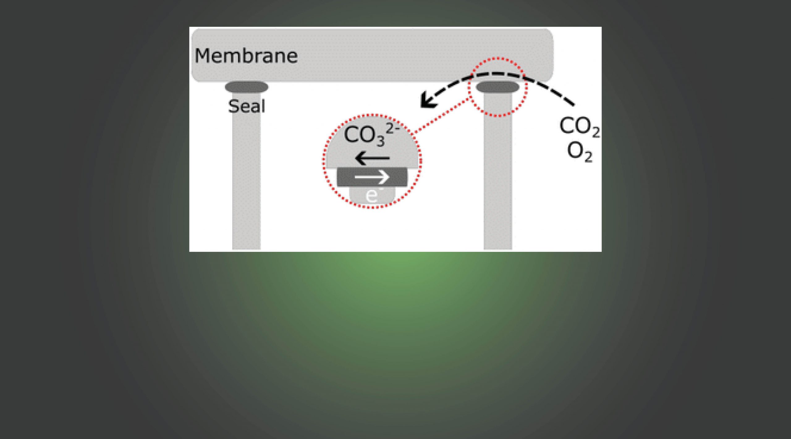 Metallic sealants increase flux and change selectivity in supported molten-salt membranes