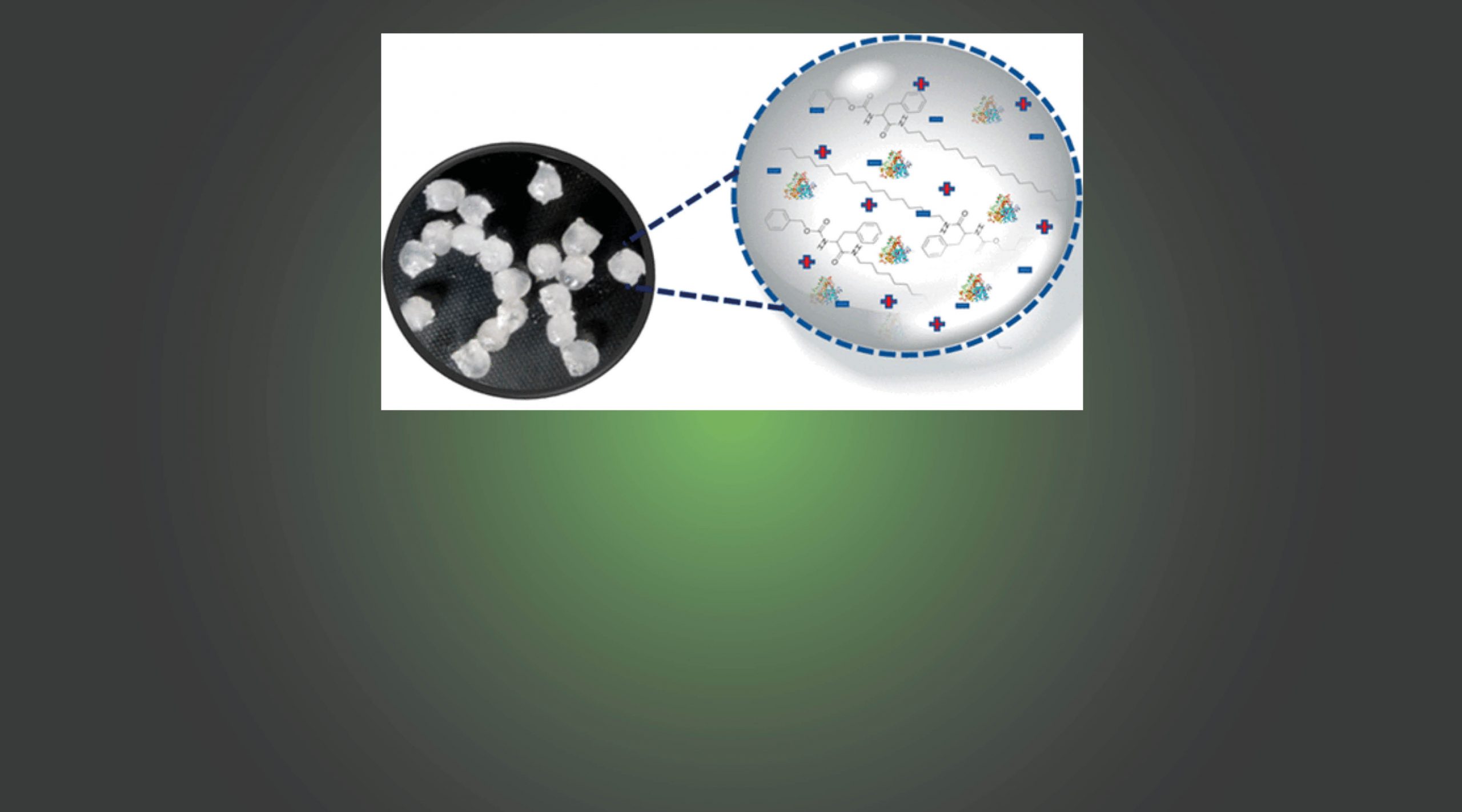 Supramolecular Ionic Liquid Gels for Enzyme Entrapment