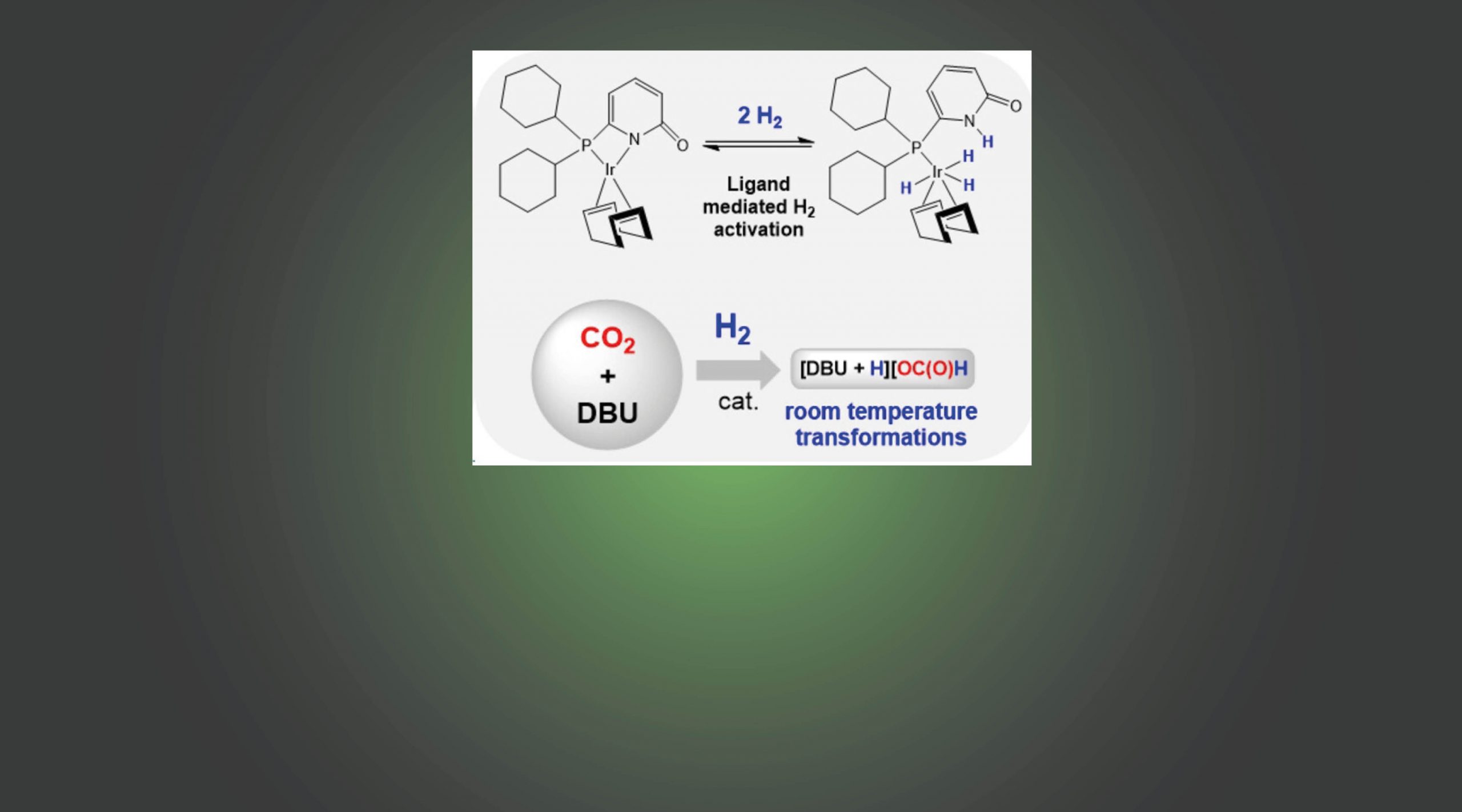 Room Temperature Hydrogenation of CO2 Utilizing a Cooperative Phosphorus Pyridone-Based Iridium Complex