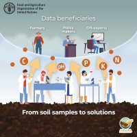 World Soil Day graphical abstract: from soil samples to solutions